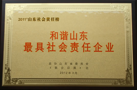 201203 和諧山東最具社會(huì)責(zé)任企業(yè)